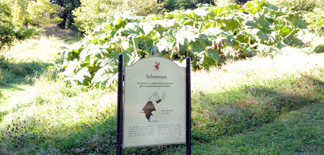 Arboretum