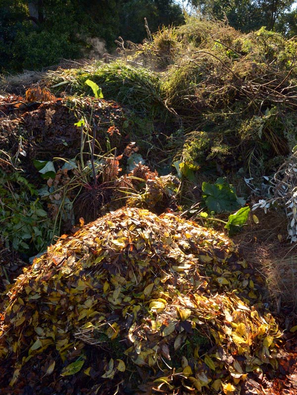 Compost heap at the Dunedin Botanic Garden