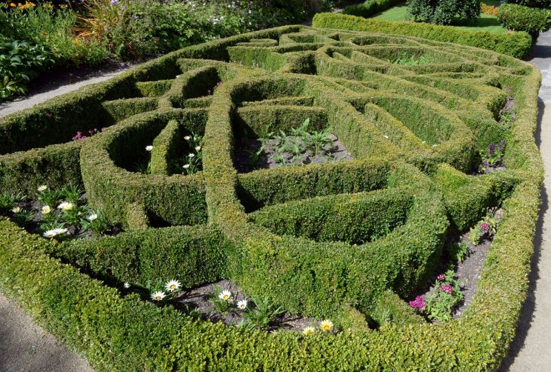 Knot garden