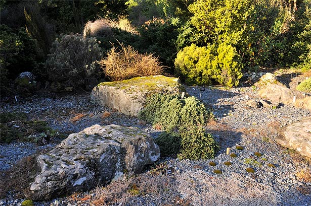 Mimicking a mountain - Alpine Scree Garden