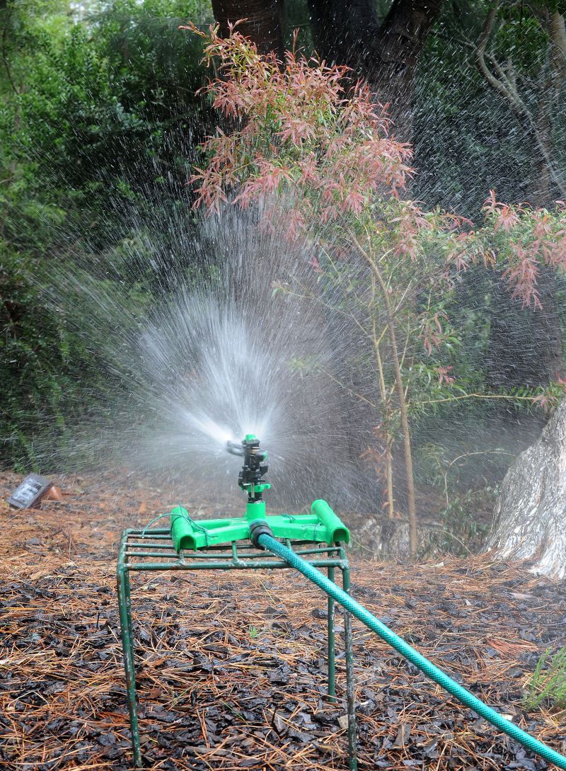 Watering in the Botanic Garden