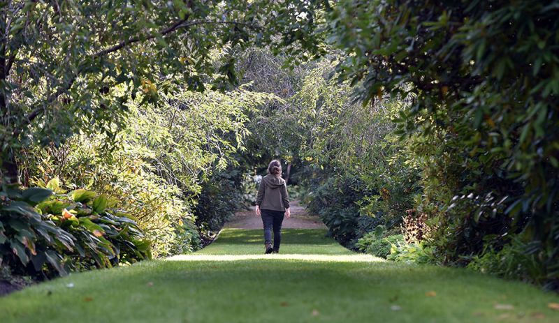 woodland garden