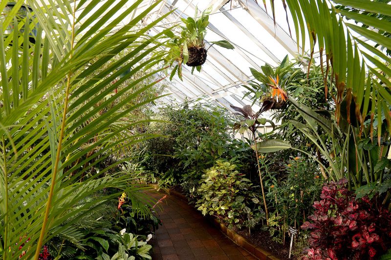 Winter Garden Glasshouse