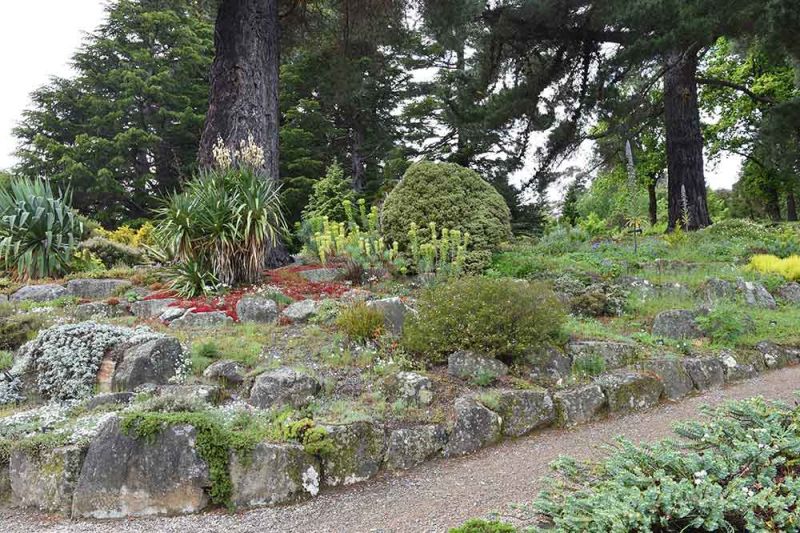 Rock garden in Dunedin Botanic Garden